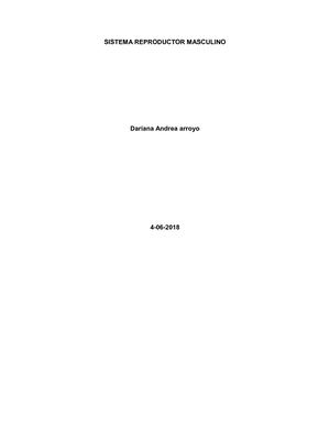 Sistema Reproductor Masculino