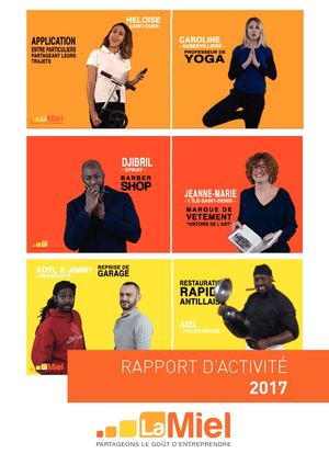 rapport activité 2017