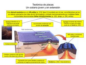 Tectonica De Placas