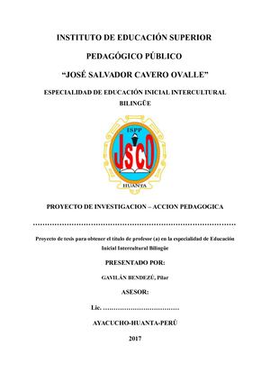 Proyecto De Investigacion 01 Pilar