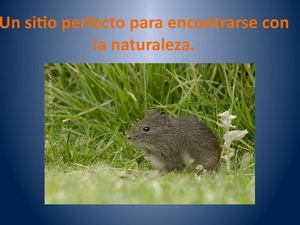 Un Sitio Perfecto Para Encontrarse Con La Naturaleza Alxac