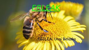 ERLEAK