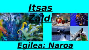 Itsas Zaldia Naroa