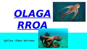 Olagarroa