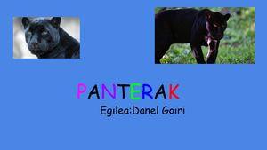 Pantera