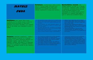 MATRIZ Foda 2