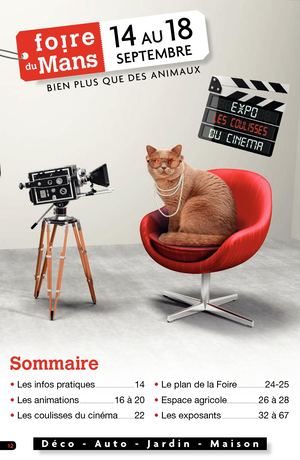 Foire Du Mans #2017 - TZ 333