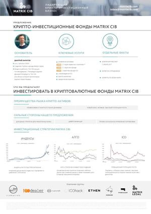 Matrix Инфографика а4