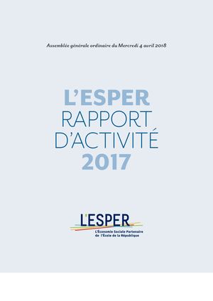 Lesper Rapport Activite 2017