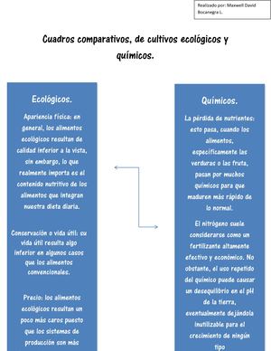 Cuadros Comparativos