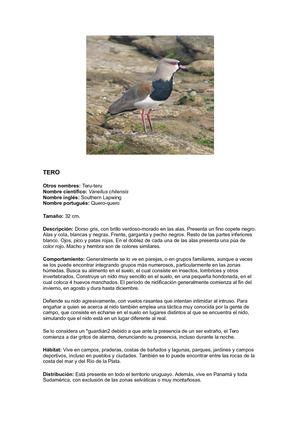 Animales Autóctonos Del Uruguay Caracterìsticas