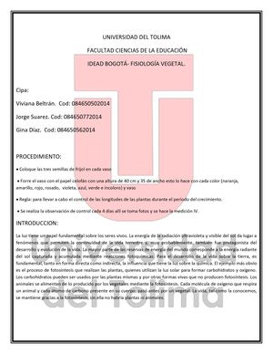 Informe Semillas De Frijol Con Papel Celofán