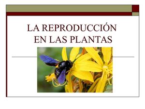Reproducción En Plantas (Revista Calameo)