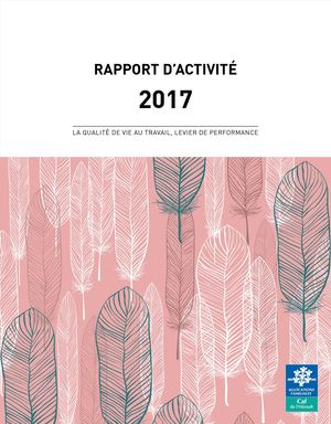 Rapport d'activité 2017 - Caf de l'Hérault