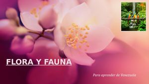 Flora Y Fauna