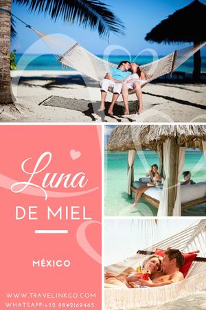 Lunamieleros Travelinkgo 2018