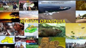 Region Oriniquia