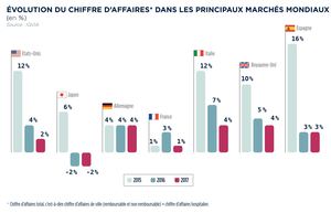 Évolution du chiffre d'affaires dans les principaux marchés mondiaux (en %)