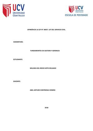 Opinión De La Ley Servir