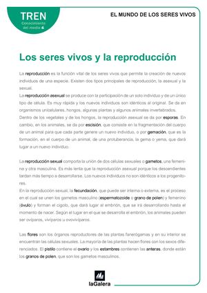 Reproduccion