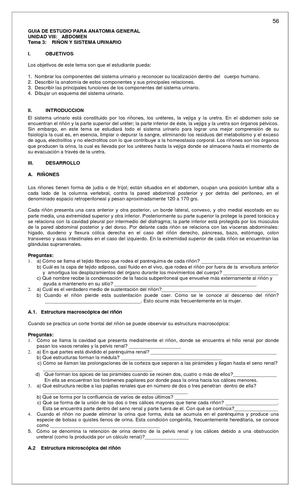 Guia De Riñon Y Retroperitoneo