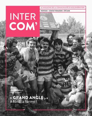 Intercom 81
