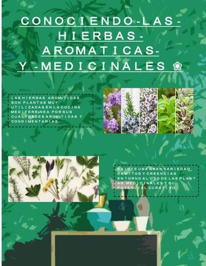 Hierbas Aromaticas Y Medicinales