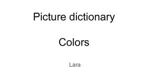 Picture Dictionary