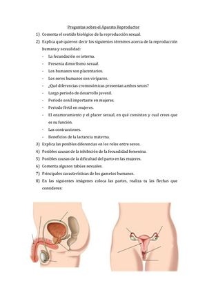 Preguntas Sobre El Aparato Reproductor