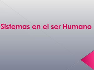 Sitemas Del Ser Humano 703 Dominguez Y Gomez