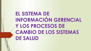 El Sistema De Información Gerencial Y Los Procesos
