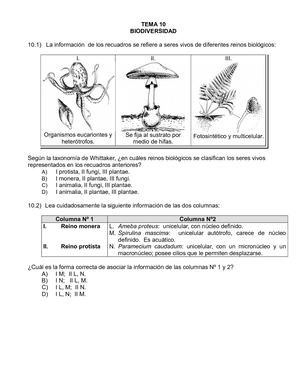 10 Biodiversidad Y Reinos Biológicos