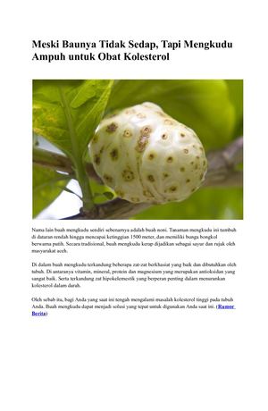 Meski Baunya Tidak Sedap, Tapi Mengkudu Ampuh Untuk Obat Kolesterol