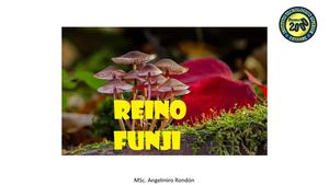Reino Funji