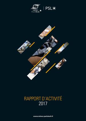 Rapport D'activité 2017