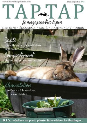 TAP TAP PRINTEMPS ETE 2018