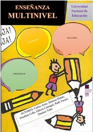 Enseñanza Multinivel