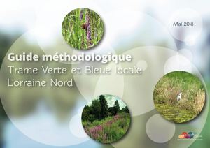 201805 Agape TVB Guide Methodologique