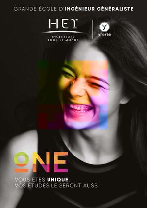 Hei Plaquette 2017 Web Dp