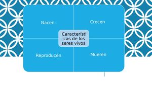 Esquema caracteristica de los seres vivos
