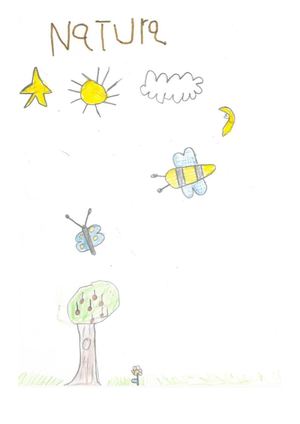 NATURARI BURUZKO ALDIZKARIA (LH1-A)