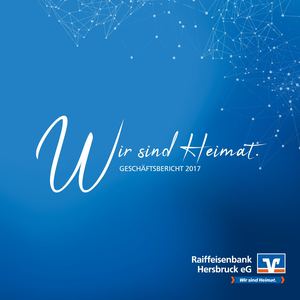 Geschäftsbericht 2017