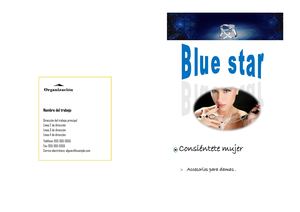 Catalogo Blue Star
