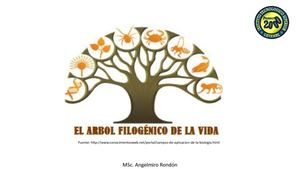 Biología Arbol Filogénico