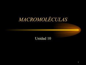 10macromoléculas