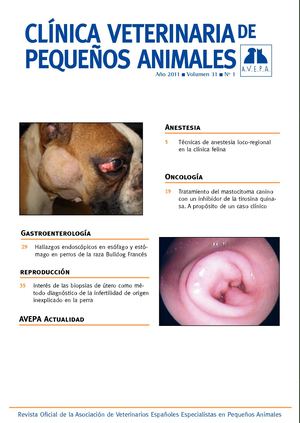 Revista Anestes