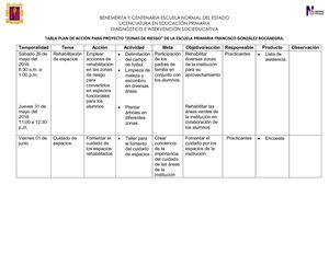 11 Tabla Plan De Acción Para Proyect11 Diagnóstico E Intervencion Socieducativa