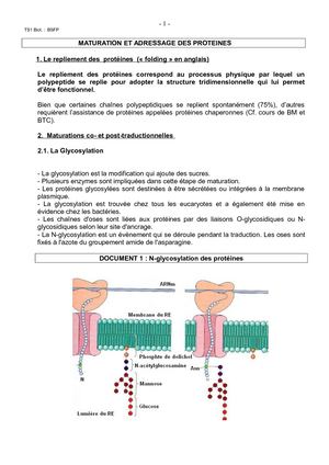 Maturation Adressage
