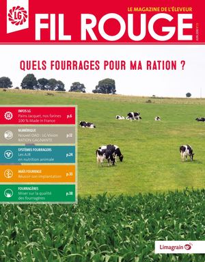 Fil Rouge 23