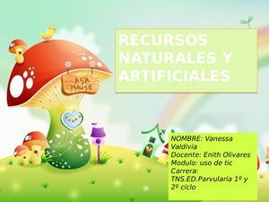 Recursos Naturales Y Artificiales